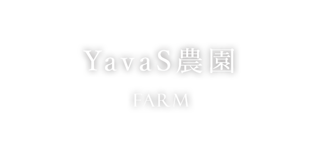 YavaS農園　farm