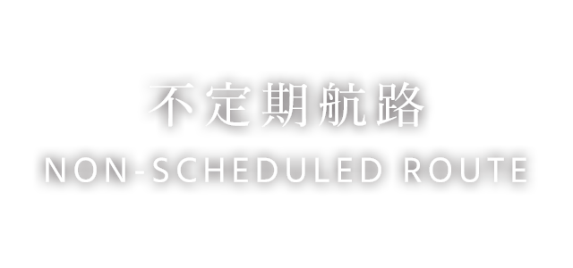 不定期航路