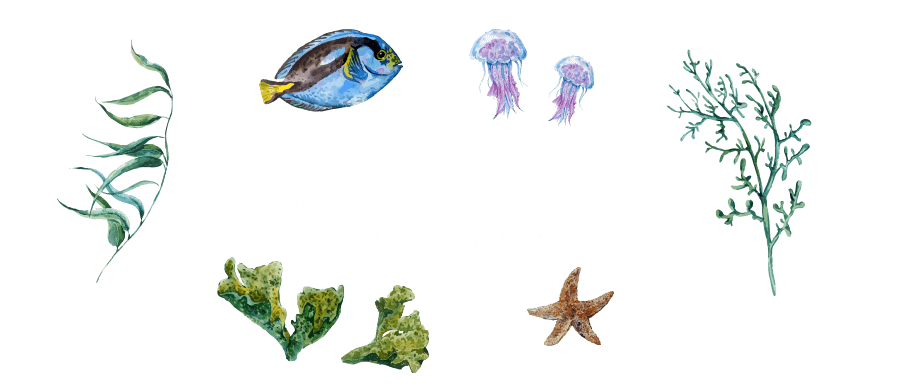 近海の魚介図鑑　FISH AND SHELLFISH