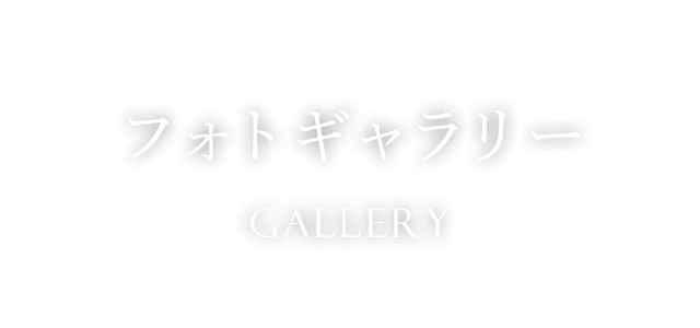 フォトギャラリー　gallery