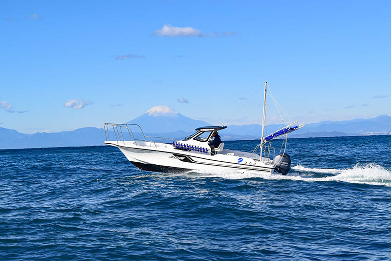 さざえ　F.A.S.T.26