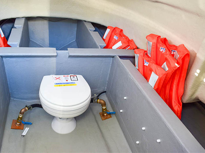 さざえ　F.A.S.T.26