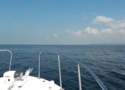 【シースタイル】燃料無料キャンペーン！！