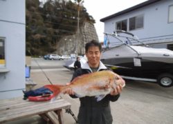 シースタイル釣果情報！