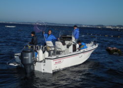 『Ｙ２Ｇ２カワハギ釣り大会』の結果は！？