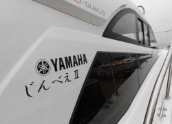 じんべえⅡのご紹介