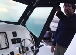 🎄みさごにエンクロージャーが付きました🎄