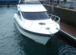 【2017ヤマハオータムフェスタ試乗会】新艇・中古艇試乗会御礼