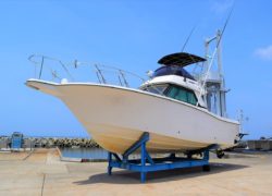 【中古艇ブログ】Y-31コンバーチブル