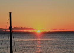 【マリーナブログ】本日の夕日