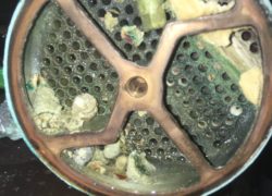 YAMAHA Y-32コンバーチブル整備【サービスブログ】