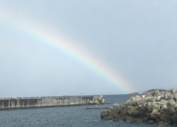 【マリーナブログ】7色の光が織りなす美しい「虹」