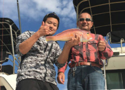 【マリーナブログ】オーナー様からの釣果情報