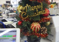 【マリーナブログ】マリーナがクリスマス仕様に☆