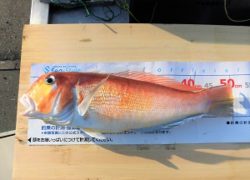 【マリーナブログ】🎣　2019.1.13 最新釣果情報　🎣
