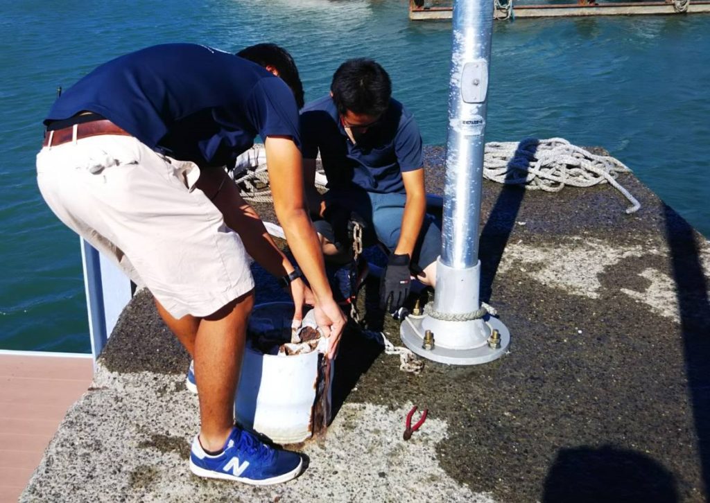 台風19号　復旧