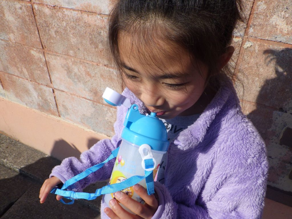 淡島神社　流し雛