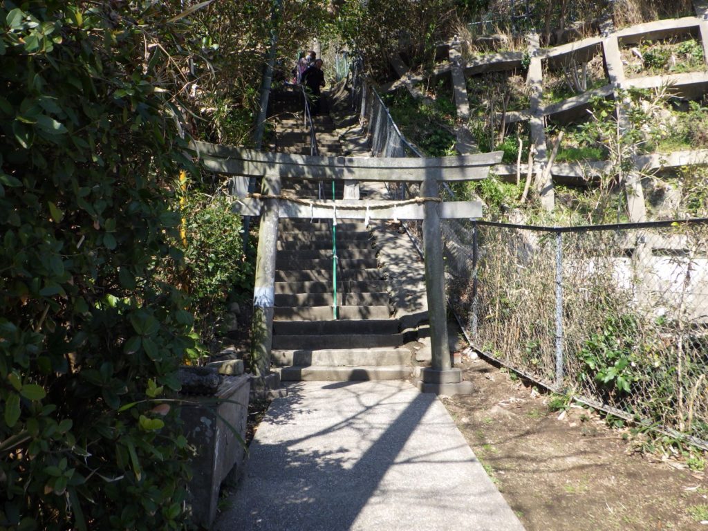 淡島神社　流し雛