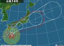台風14号接近のため台風対策を行います