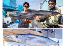 .。o○ 釣果情報 .。o○