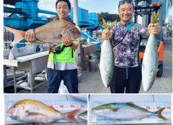 .。o○　釣果情報　.。o○