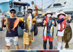 .。o○ 釣果情報 .。o○