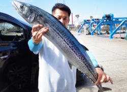 .。o○ 釣果情報 .。o○