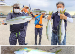 .。o○ 釣果情報 .。o○