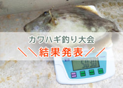 【カワハギ釣り大会】ご参加ありがとうございました‼