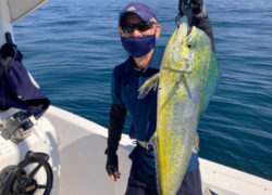 釣果情報／2022年6月