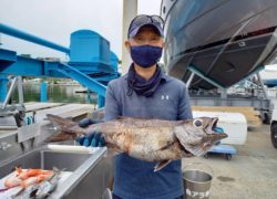 釣果情報／2022年6月