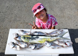 釣果情報／2022年7月