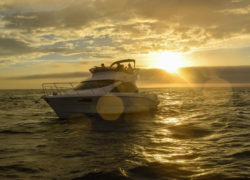 サンセットクルーズで虹と夕日が楽しめました🌈