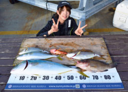 釣果情報／2022年10月