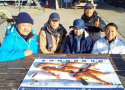 【2月の釣り講座】SLJでハナダイ、タチウオ、ホウボウを釣りました🎣