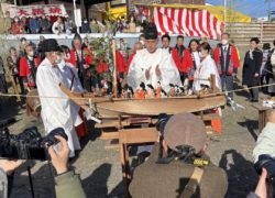 淡島神社祭礼🎎🌸