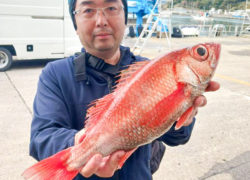 釣果情報／2024年4月