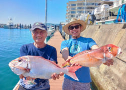 釣果情報／2024年5月