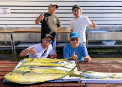 【5月の釣り講座】シイラのシーズンが始まりました！