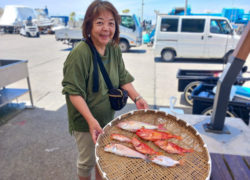 釣果情報／2024年6月