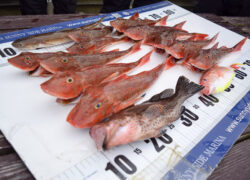 【12月釣り講座】今年最後の釣り講座へ出港！