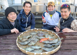 釣果情報／2025年1月