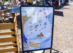 「海と山と花のマルシェ」に行ってきました🌿