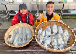 釣果情報／2025年10月