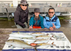 釣果情報／2025年11月