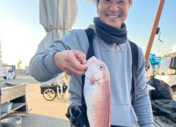 釣果情報／2025年11月