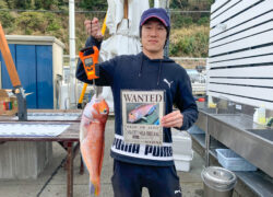 釣果情報／2026年3月