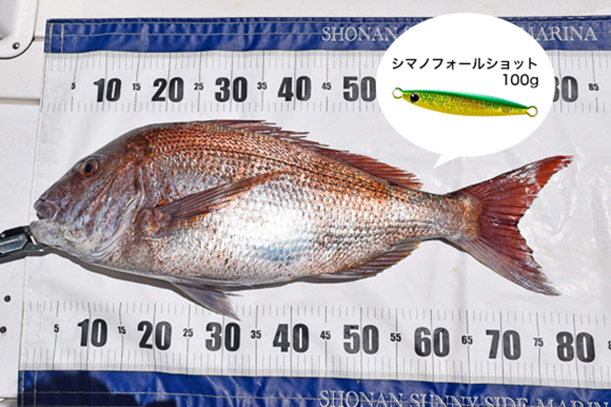 2026.5.9【マダイ】
