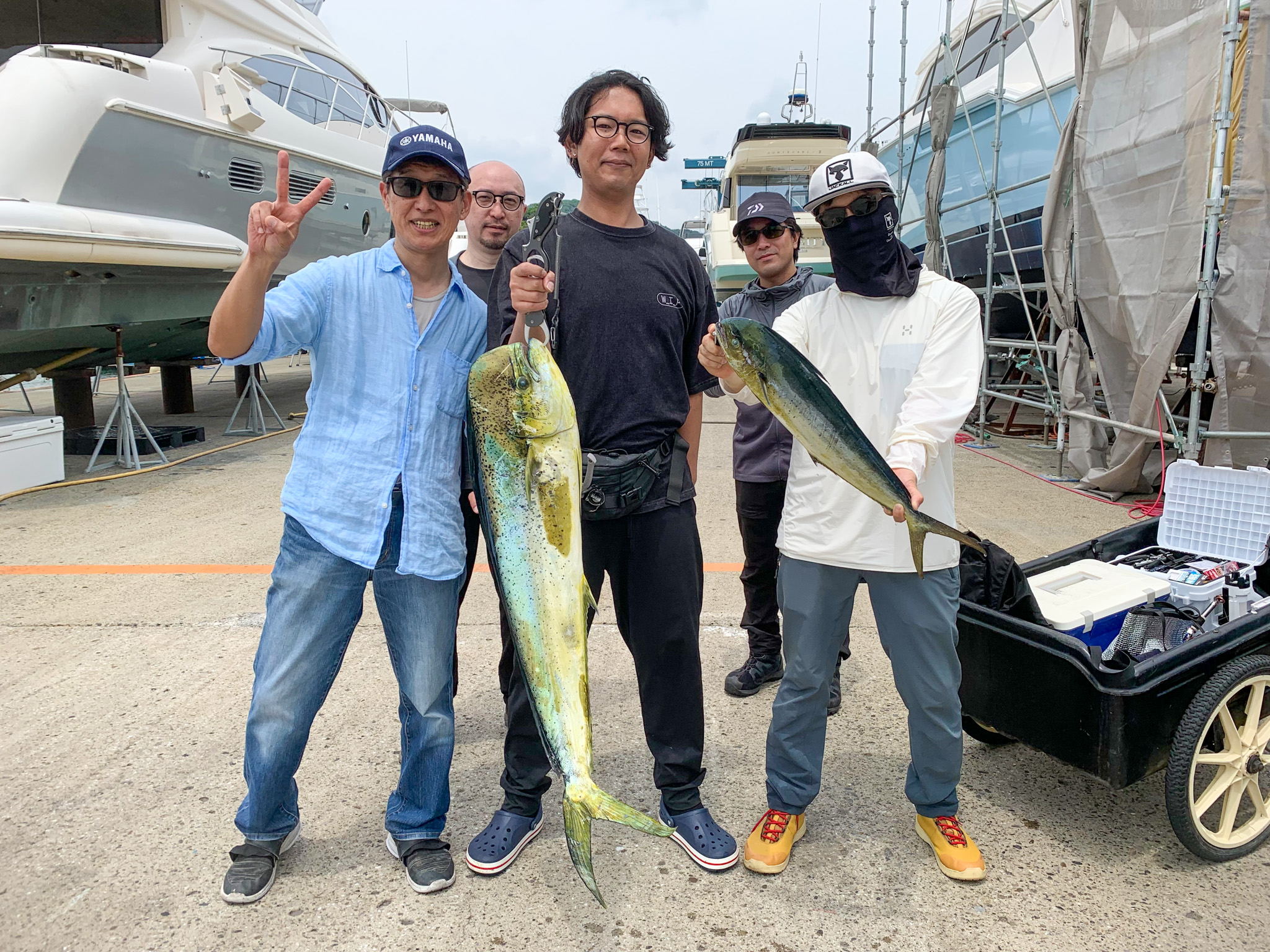 2026.6.14【シイラ】