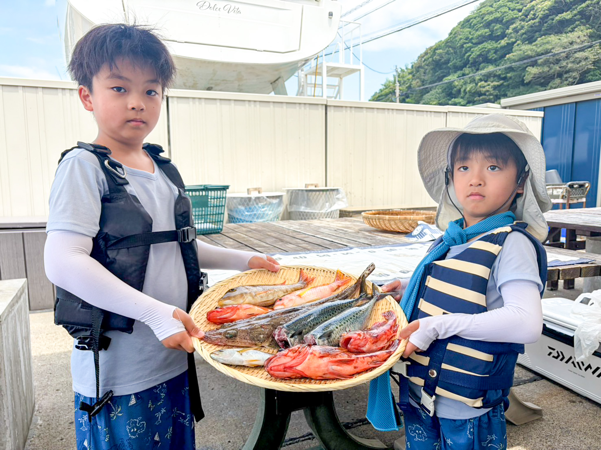 2026.7.31【イネゴチ、サバ、カサゴなど】
